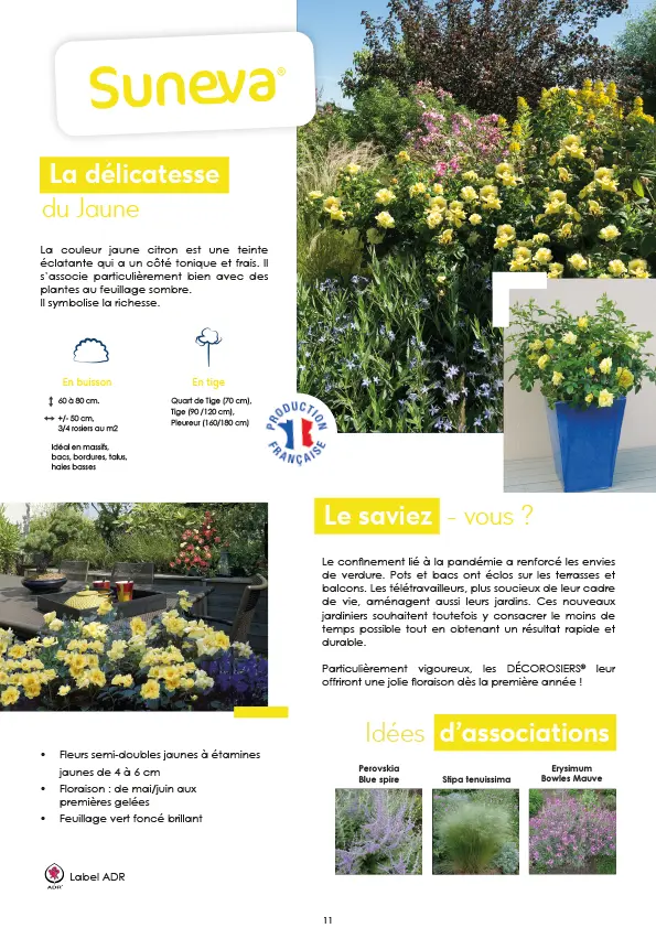 CATALOGUE_DECOROSIERS-12.webp