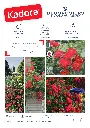FICHE COMMERCIALE DECOROSIERS KADORA_page-0001.webp