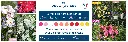 Decorosiers_Akilux_2025_120x40cm (2).webp
