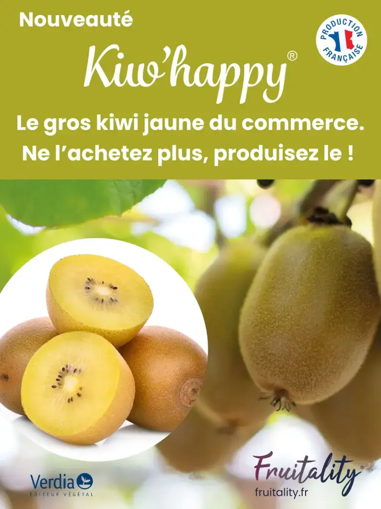 [PLVPANAKIKIW60X80] Panneau akilux Kiwhappy® 60x80cm.webp